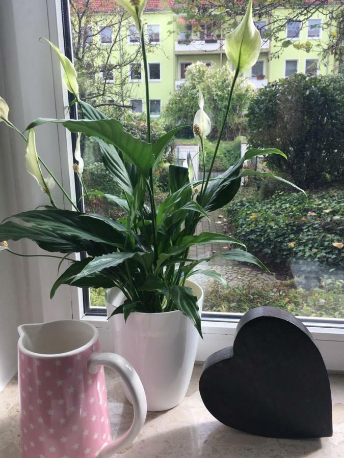 Gemuetliche Ferienwohnung Im Erdgeschoss- Jenaer Strasse Erfurt Kültér fotó